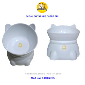 Bát ăn uống cho mèo cổ tai mèo chống gù 13.9cm Bát ăn cổ tai mèobát ăn cho mèo chống gù bát ăn cho thú cưng - Nuôi Pet Shop