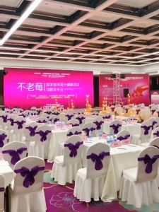 Reben Kerusi Banquet Elastic Chair Ribbon Bow Tie Riben Back Deco Sarung For Event Wedding Kahwin