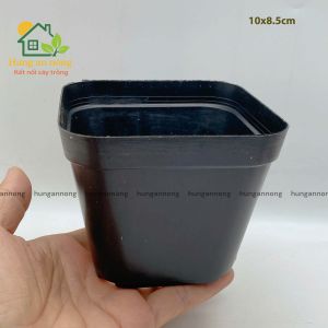 CNVDL2 - Sét 50 chậu nhựa vuông đen ươm trồng cây size 10x8cm