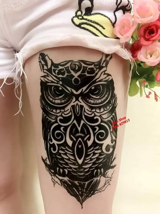 Hình xăm cú mèo 😘 - Thế Giới Tattoo - Xăm Hình Nghệ Thuật | Facebook