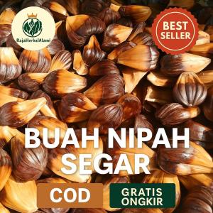Buah Nipah Dahon Segar 3 Kg Murah | COD & GRATIS ONGKIR