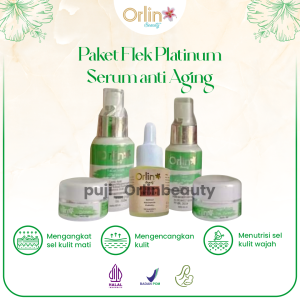 Paket Skincare Flek Platinum Dan Serum Anti Aging Mencerahkan Wajah Mengencangkan Kulit Menyamarkan Noda Hitam Bpom