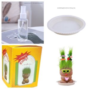 ตุ๊กตาหัวหญ้ากระถางเล็กสร้างสรรค์ หญ้าแมวธรรมชาติ ตุ๊กตาหญ้าที่มีต้นไม้สีเขียวบนหัวเพื่อสังเกตการเจริญเติบโตของพืช การทดลองของนักเรียน