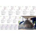 Tinh dầu sả chanh Mộc Mây - tinh dầu nguyên chất từ thiên nhiên - xông phòng, thơm phòng, thư giản, đuổi muỗi. 