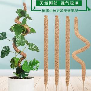 Climbing Pole Bendable Plant Support Moss Stick Gardening Tool