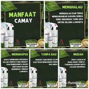 CAMAY REPELLENT SPRAY SERANGGA PEROSAK ORGANIK SANGAT BERKESAN