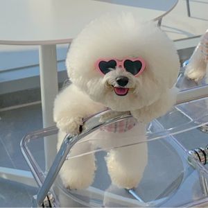 OUTOPEN Fashion Heart Pet Products For Small Cat Pet Accessoires Pet Glasses Cat  Eye-Wear Cat Sunglasses Pets Party Decor Cat Glasses