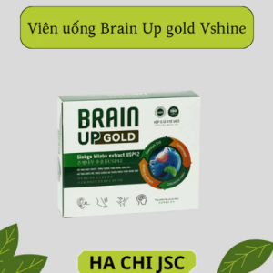 Viên uống Brain Up gold Vshine - hỗ trợ hoạt huyết dưỡng não - Hộp 6 vỉ x 10 viên-MKPMC