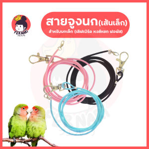 พร้อมส่ง !! สายจูงนกแบบยืดหยุ่นได้ สายคล้องขานกแก้ว นกแก้ว ป้องกันนกหลุด