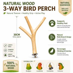 Natural Bird Gym Perch Set | Grapevine Perch | Spiral Climbing Perch | Natural Wood Climbing Station | Bird Playground for Budgie Lovebird Cockatiel Conure