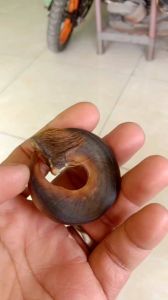 Kuber melingkar antik