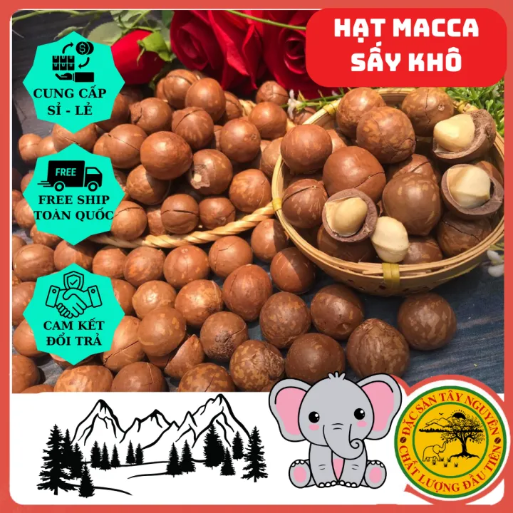 { 1KG } Hạt Macca Sấy Khô Nứt Vỏ - Tặng kèm dụng cụ tách vỏ- Thơm ngon giàu dinh dưỡng
