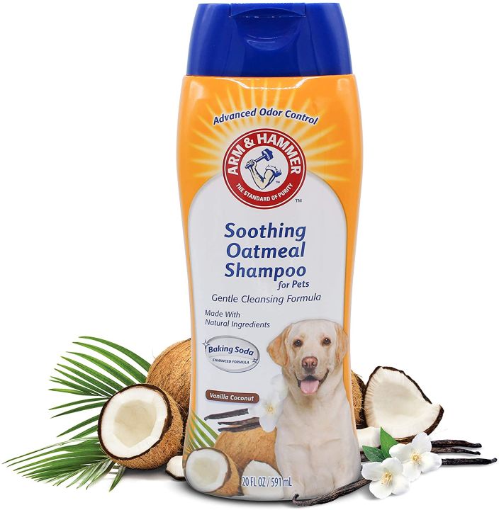 Best dog shampoo outlet for dry itchy skin