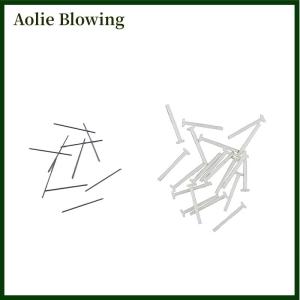 Aolie Ingrown Toenail Tools Pedicure Recover Embed Toe Nail Treatment Professional Ingrown Toenail Correction Foot Care Tool