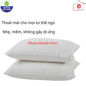 RUỘT GỐI GÒN ÉP HƠI MỀM MẠI CAO CẤP 40x60CM