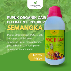 Pupuk Pembesar Buah Semangka / Obat Pembesar Semangka / Pupuk Penyubur Daun Tanaman Buah Semangka