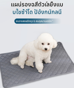 แผ่นรองปัสสาวะสัตว์เลี้ยงสุนัข ผ้าอ้อมฝึกกันลื่นแบบใช้ซ้ําได้