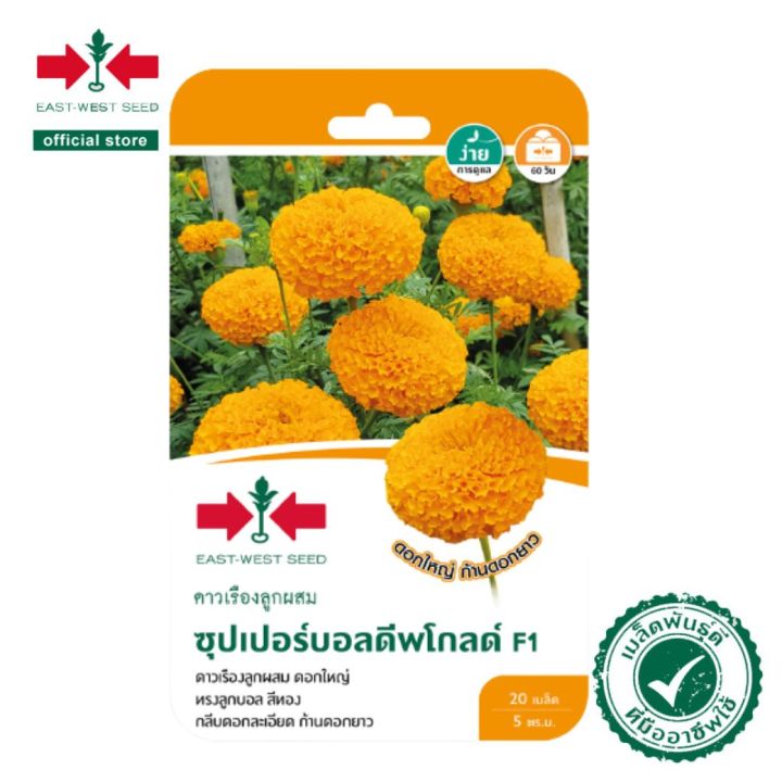 เมล็ดพันธุ์ดาวเรือง F1 ซุปเปอร์บอลดีพโกลด์ ตราศรแดง ดอกใหญ่