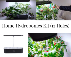 Smart Home Hydroponics Kit Black Aerogarden Urban Green Dot