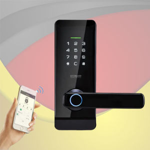 WIDMANN F03 - Khóa Cửa Kính Thông Minh Vân Tay Thẻ Từ Mã Số App TTlock - Bảo Mật Cao Cấp - Công Nghệ FPC - Dễ Dàng Quản Lý Trên Điện Thoại