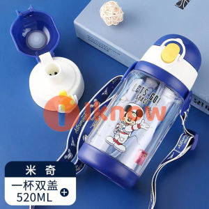 Frozen Kids Water Bottle 2in1 Straw+Direct Drink Interchangeable BPA-free 520ml