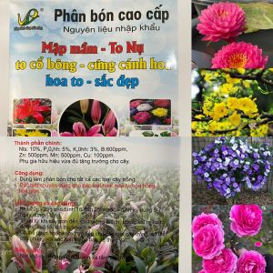 Phân bón lá cao cấp cho  Cây Hoa Mập Mầm To Nụ Hoa To Sắc Đẹp To Cổ Bông Cứng Cánh Hoa  #phân_bón_cho_hoa