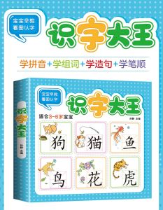 972 WORDS KIDS PRESCHOOL MANDARIN LITERACY BOOK