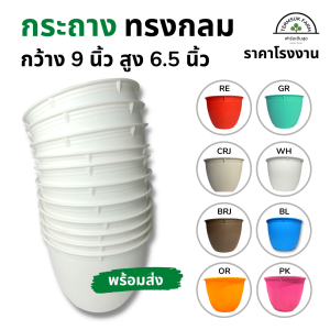 กระถาง 9 นิ้ว สีพาสเทล กระถางทรงกลม ราคาโรงงาน กระถางต้นไม้ กระถางพลาสติก กระถางสีหวาน กระถางสีสด กระถางสีพาสเทล