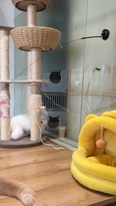Cat Teaser Cat Toys Feather Stick Feather Toy Long Rod Powerful Suction Cup Natural Feather Teaser with Bell