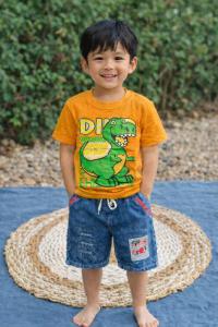 SETELAN KAOS ANAK DISTRO MOTIF DINOSAURUS