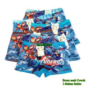 Dalaman Anak-ISI 12 Helei Lusinan Celana Dalam Anak Cowok Model Boxer Motif