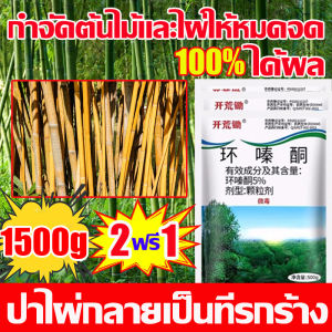 🔥ซื้อ2แถม1🔥 กำจัดต้นไม้และไผ่ให้หมดจด ยาฆ่าไผ่ ไม้ไผ่ร้อยปีรากเน่า ผลลัพธ์ที่รวดเร็ว ผงกำจัดกอไผ่ ฆ่าไม้ไผ่ทุกชนิดได้ง่ายๆ ต้นไม้ ยาฆ่าไม้ไผ่ ไม่เป็นอันตรายต่อดิน ยากำจัดกอไผ่ ไม่มีสารเคมี ผงฆ่ากอไผ่ ยาฆ่าต้นไม้ใหญ สารกำจัดก่อไผ่ เม็ดกำจัดต้นไม้