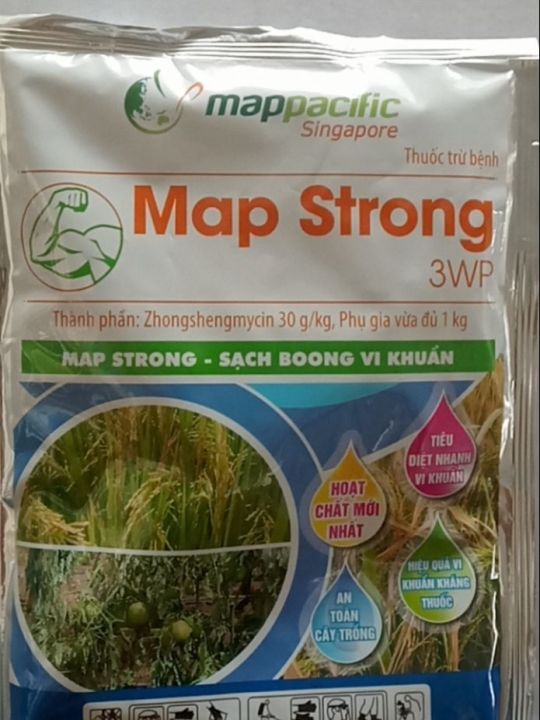 MAP STRONG 3WP – ĐẶC TRừ BỆNH DO VI KHUẨN GÂY HẠI CHO CÂY TRỒNG 100GR