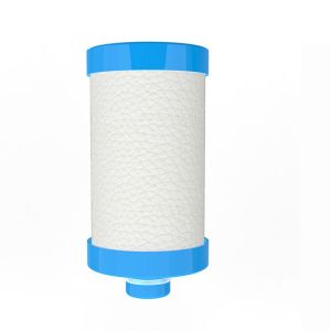 PWD0442 Home Bathroom Washing Machine Water Heater Universal Output Water Heater Purification Shower Filter Cartridges Purifier