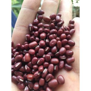 Bột ĐẬU ĐỎ SKIN CARE 500g