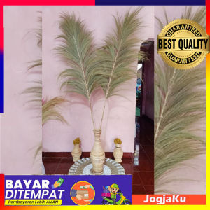 BUNDLING ISI 2 HOME DECOR RAYUNG KERING PANJANG COCOK UNTUK PHOTO STUDIO DEKORASI INTERIOR DLL MURAH