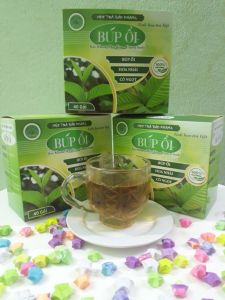 Combo 160 gói trà túi lọc búp ổi Bảo Khang 4 hộp trà búp ổi giúp giảm cân thanh lọc cơ thể nhuận tràng giảm đường trong máu