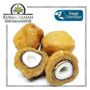Buah Zuriat / Doum Satuan 1 Pcs Original untuk Promil