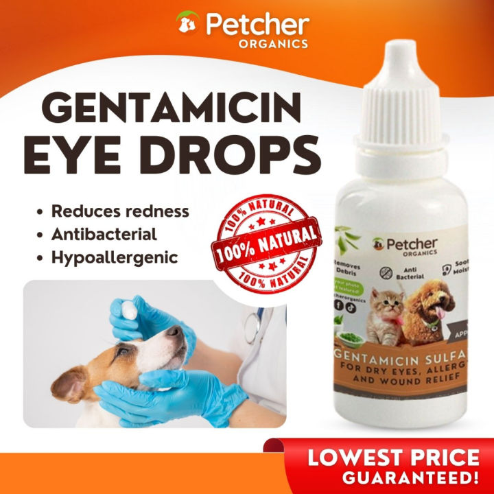 Petcher Organics Gentamicin Sulfate for Dogs Eyes Antibacterial Eye Drop for Cat Pet Eye Solution Lazada PH