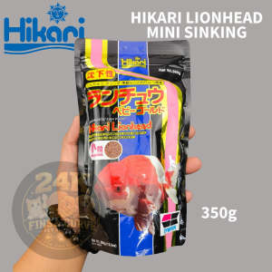 HIKARI LIONHEAD GOLDFISH SINKING PELLETS FOR HEAD GROWTH AND COLOR ORIGINAL JAPAN 350G