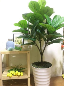 Cây bàng Singapore cao 1m lá to giống thật kèm chậu nhựa trắng -Cây Giả