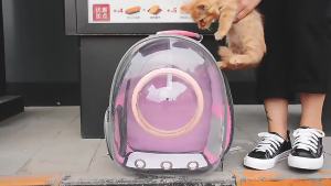 Space Capsule  Backpack Carrier Astronaut Shape Transparent Window Breathable Vent Design Small Cat Dog Travel Bag