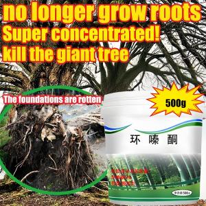 500g herbicida berkuasa glyphosate herbicida tidak menjejaskan tanah pembunuh pokok serbuk herbicida profesional hexazinone penghapusan herbicida penghapusan herbicida perawatan herbicida