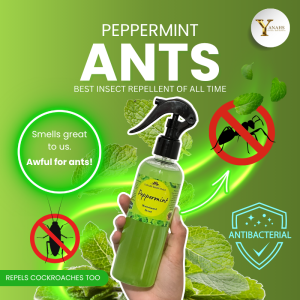 Peppermint Air Freshener Spray – Natural Odor Eliminator & Ant Repellent