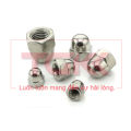 Đai ốc mũ inox 201 (M3-M20). 