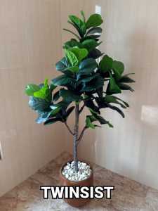 TERMURAH Pohon Ketapang Plastik Artificial Palsu Tinggi 150 cm / Pohon Hias Plastik / Pohon Plastik Besar / Bunga Plastik / Pohon Sudut / Dekorasi Rumah / Dekorasi Ruang / Pohon Hiasan Ruang Tamu