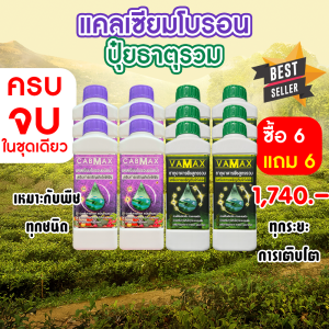 ( 6แถม6 ) CABMAX แคลเซียมและโบรอนเข้มข้น + VAMAX ธาตุอาหารรวมเข้มข้น 12 ลิตร