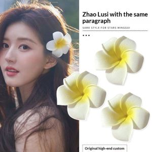 Diphuangzhe丨 Kẹp tóc hoa sứ tự nhiên cho đi biển đám cưới và các phụ kiện phong cách nhiệt đới