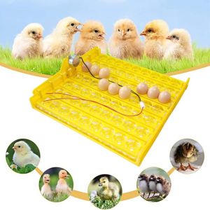 QEFEE Plastic With Auto Turn Motor Multifunction High Quality Egg Incubator Brooder Accessory Egg Turning Tray For Chicken Duck Egg