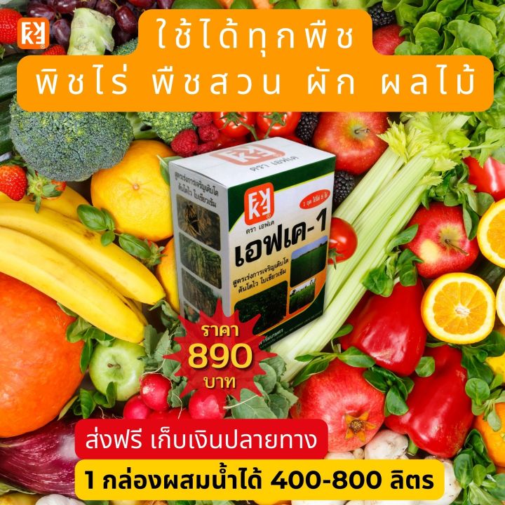 %E0%B8%9D%E0%B8%A3%E0%B8%B1%E0%B9%88%E0%B8%87%20%E0%B9%82%E0%B8%95%E0%B9%84%E0%B8%A7%20%E0%B9%83%E0%B8%9A%E0%B9%80%E0%B8%82%E0%B8%B5%E0%B8%A2%E0%B8%A7%20%E0%B8%9C%E0%B8%A5%E0%B9%83%E0%B8%AB%E0%B8%8D%E0%B9%88%20%E0%B8%9C%E0%B8%A5%E0%B8%9C%E0%B8%A5%E0%B8%B4%E0%B8%95%E0%B8%94%E0%B8%B5%20%E0%B8%89%E0%B8%B5%E0%B8%94%E0%B8%9E%E0%B9%88%E0%B8%99%E0%B8%9B%E0%B8%B8%E0%B9%8B%E0%B8%A2%20FK-1%20%E0%B8%95%E0%B9%89%E0%B8%99%E0%B8%97%E0%B8%B8%E0%B8%99%E0%B8%95%E0%B9%88%E0%B8%AD%E0%B9%84%E0%B8%A3%E0%B9%88%E0%B8%96%E0%B8%B9%E0%B8%81%E0%B8%81%E0%B8%A7%E0%B9%88%E0%B8%B2%E0%B8%9B%E0%B8%B8%E0%B9%8B%E0%B8%A2%E0%B9%80%E0%B8%A1%E0%B9%87%E0%B8%94%204%E0%B9%80%E0%B8%97%E0%B9%88%E0%B8%B2%20%E0%B9%80%E0%B8%9E%E0%B8%B4%E0%B9%88%E0%B8%A1%E0%B8%9C%E0%B8%A5%E0%B8%9C%E0%B8%A5%E0%B8%B4%E0%B8%95%E0%B8%AA%E0%B8%B9%E0%B8%87%E0%B8%AA%E0%B8%B8%E0%B8%94%2020%E0%B9%80%E0%B8%9B%E0%B8%AD%E0%B8%A3%E0%B9%8C%E0%B9%80%E0%B8%8B%E0%B9%87%E0%B8%99%E0%B8%95%E0%B9%8C%20-%20Image%205